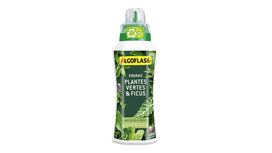engrais liquide plantes vertes et Ficus Algoflash 