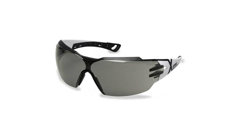 Lunettes de protection uvex Pheos cx2 noir