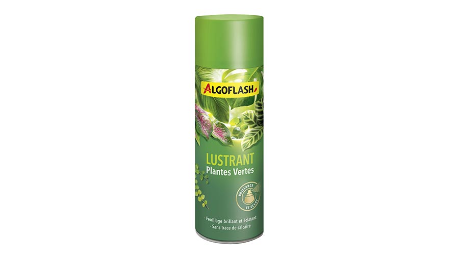 lustrant plantes vertes ALUSTR250NZ Algoflash 