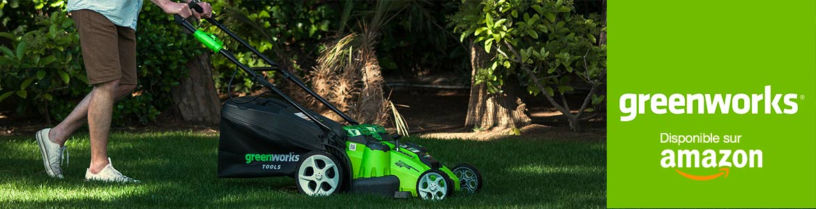 Boutique Greenworks Amazon