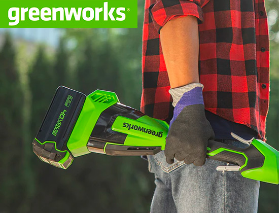 Boutique Greenworks Amazon