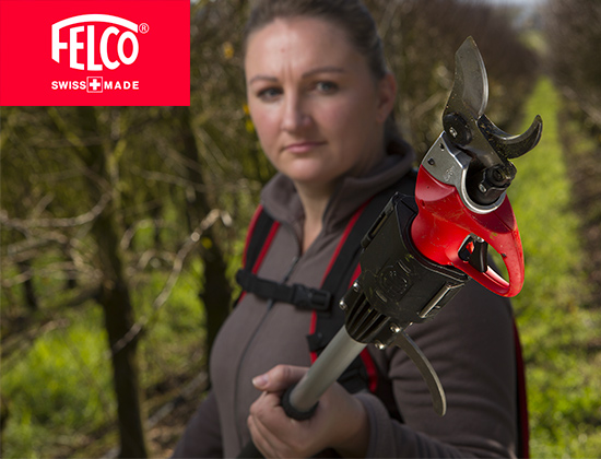 Boutique Felco Amazon