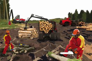 Travaux forestiers Würth
