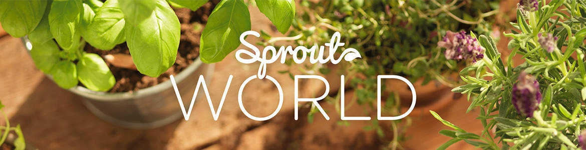 Avis et prix Sprout World