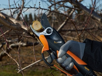 Secateur electrique pellenc occasion Secateur electrique pellenc occasion