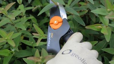 Sécateur PowerGear P92 Fiskars