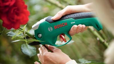 Ciso Bosch
