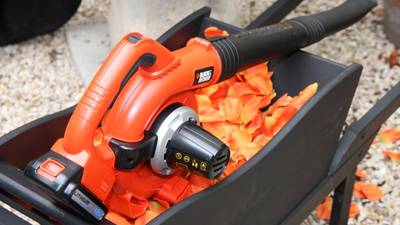 Souffleur BLACK+DECKER