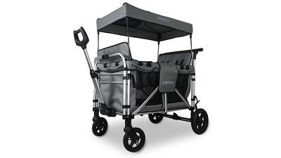 chariot Family Cruiser gris Family Fux FX-CTXL900.83 FUXTEC