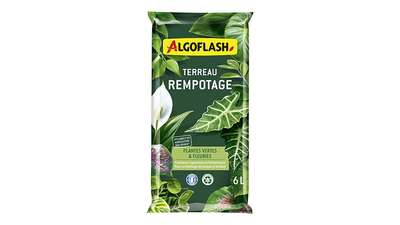 terreau rempotage Plantes Vertes et Plantes Fleuries ‎ ATREM6 Algoflash 