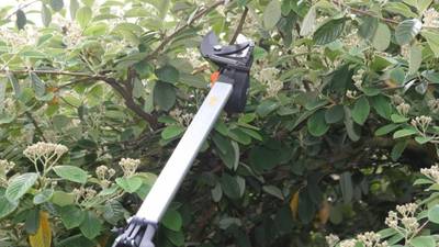 UP86 Fiskars