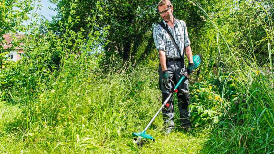 Extension débroussailleuse Bosch AMW FS