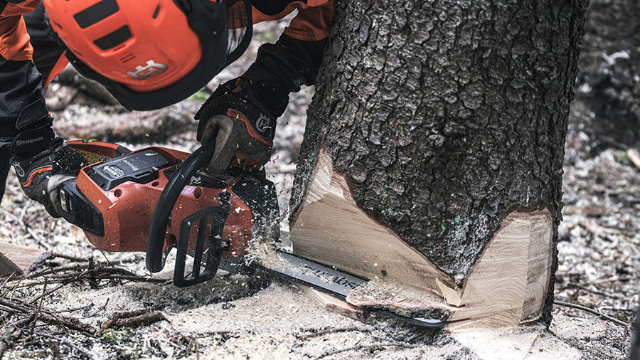 MSA161T / Scie à chaine d'arboriste Stihl à batterie