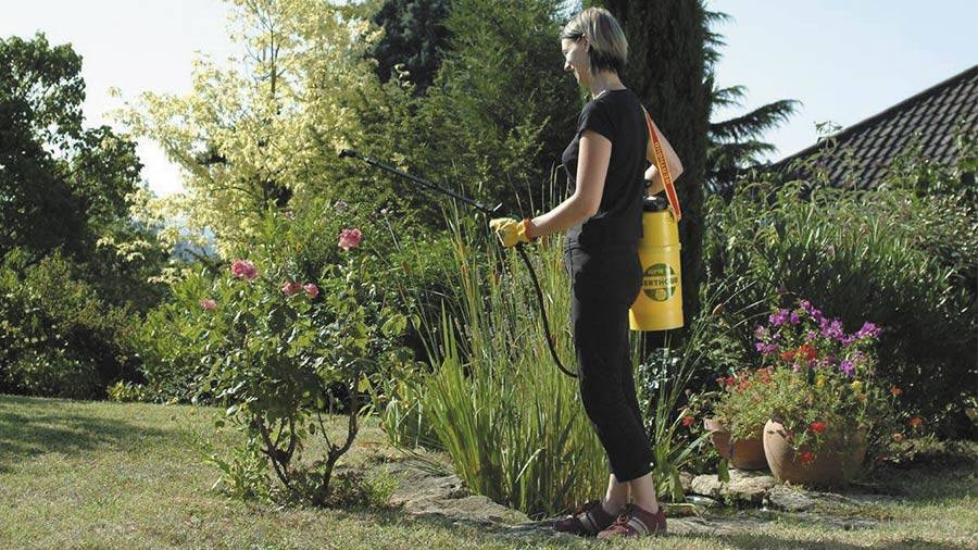 Acheter Pulvérisateur pour plantes Vert ? Bon et bon marché