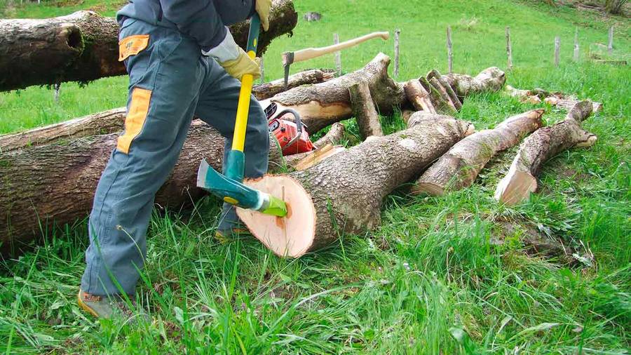 Réussir sa coupe de bois en toute sécurité Actualités – Leborgne