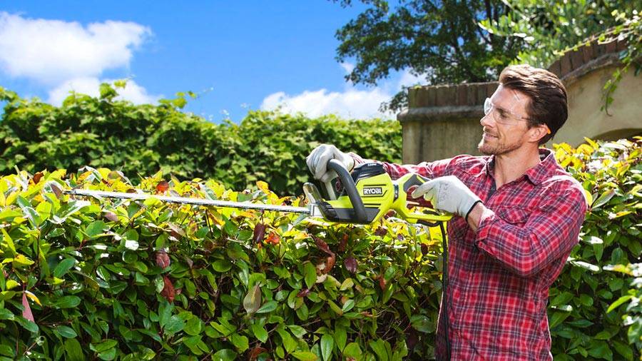 Test et avis des tailles haies électriques Ryobi 2018