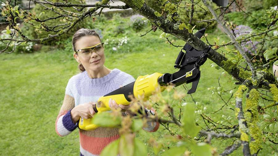 Pour l'automne, ce souffleur à feuilles sans fil moins cher est  l'accessoire dont le jardin a besoin