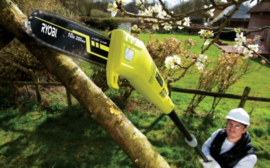 Élagueur RYOBI RPP755E