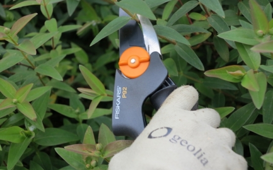 Sécateur PowerGear P92 Fiskars