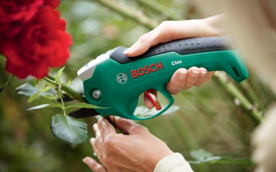 Ciso Bosch