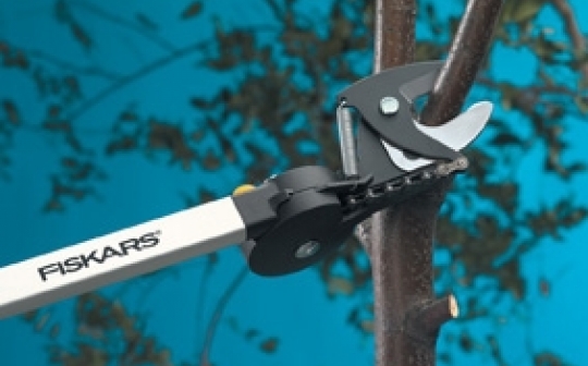 Coupe-branches Fiskars