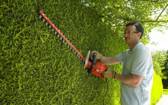 Tailles-haies filaires BLACK&DECKER