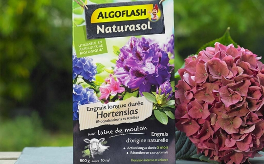 Engrais Hortensias Algoflash Naturasol