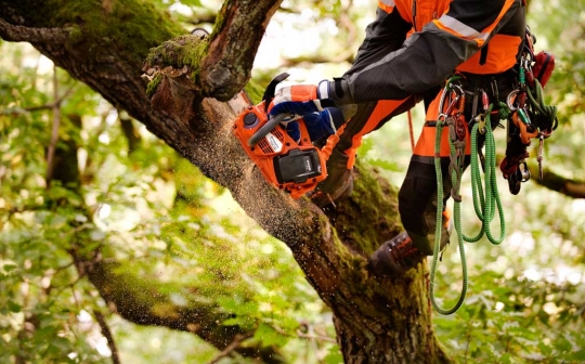 Élagueuse Husqvarna 536LiPX