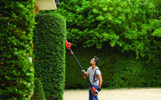 Taille-haies téléscopique filaire PH5551 BLACK+DECKER