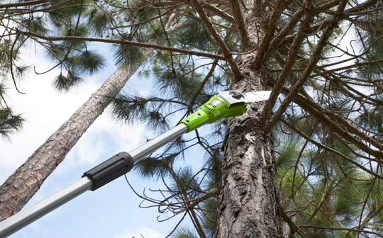 Élagueuse 40 V 20157UA Greenworks
