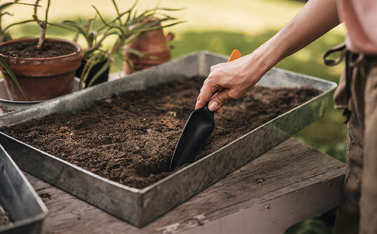 plantoir à graines Solid 1057641 Fiskars
