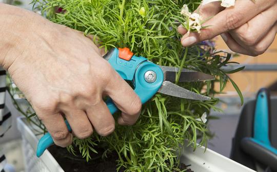 Sécateur herbes et fleurs Gardena