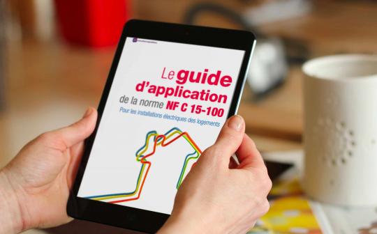 Guide AFNOR norme NF C 15-100