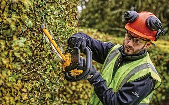 Outils de jardin DEWALT XR 18 V