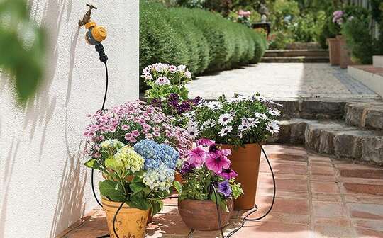 Micro-irrigation Hozelock 
