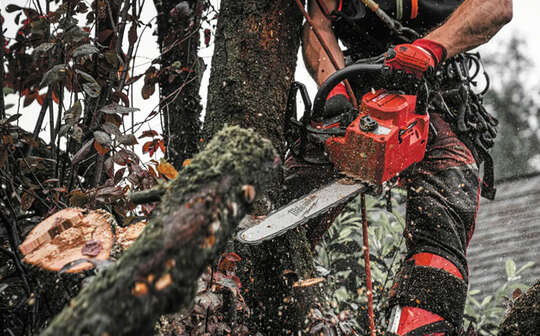 M18 FUEL FTHCHS et M12 BLPRS : 2 nouveaux outils sans fil Milwaukee pour les professionnels des travaux paysagers et agricoles