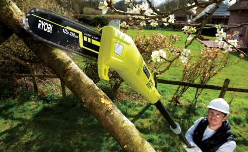 Élagueur RYOBI RPP755E