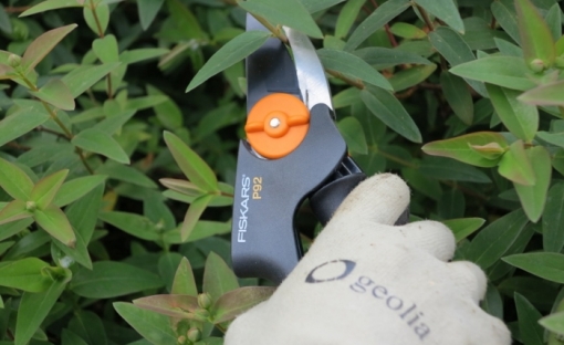 Sécateur PowerGear P92 Fiskars