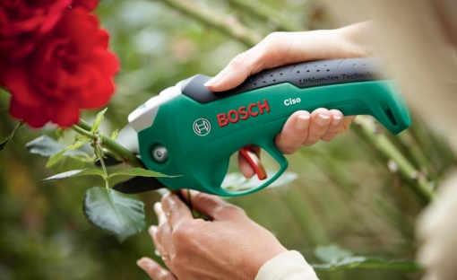 Ciso Bosch