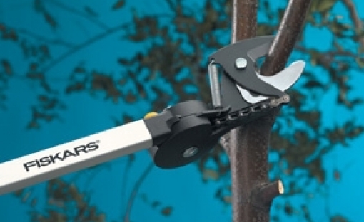 Coupe-branches Fiskars