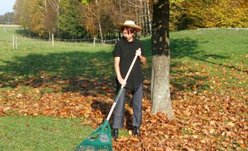 Balai XL Fiskars