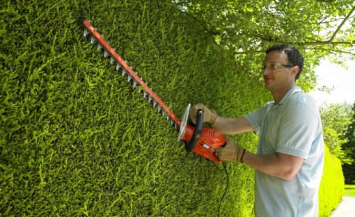 Tailles-haies filaires BLACK&DECKER