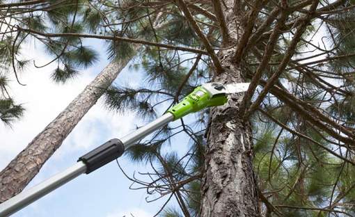 Élagueuse 40 V 20157UA Greenworks