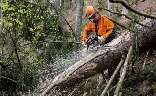 Tronçonneuse STIHL MS 462 C-M