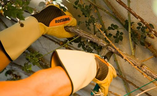 Gants ROSTAING pour ronciers