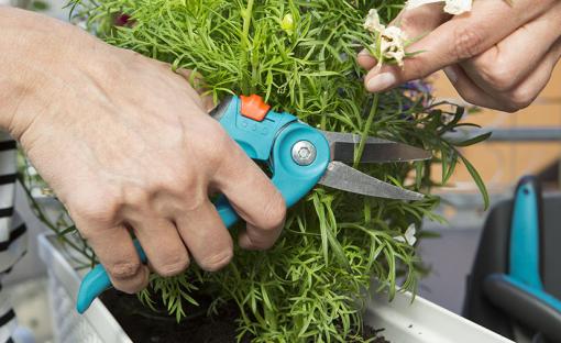 Sécateur herbes et fleurs Gardena