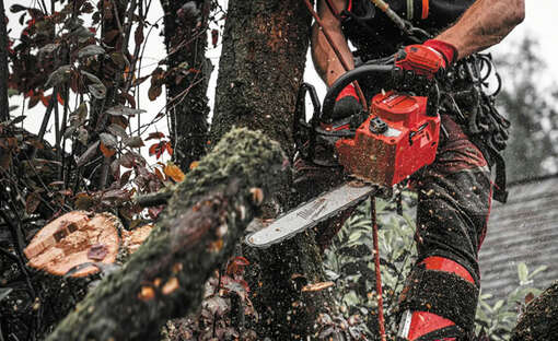 M18 FUEL FTHCHS et M12 BLPRS : 2 nouveaux outils sans fil Milwaukee pour les professionnels des travaux paysagers et agricoles