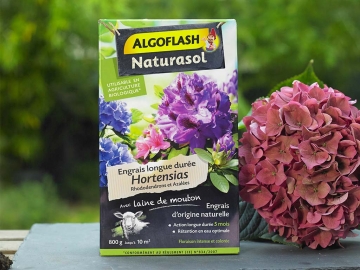 Engrais Hortensias Algoflash Naturasol