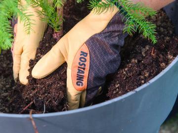 ROSTAING gants SEQUOIA cuir pas cher