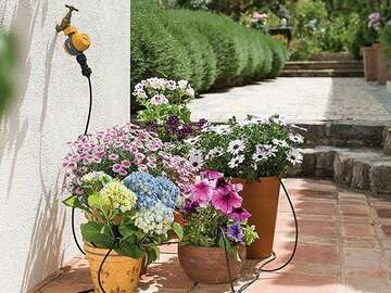 Micro-irrigation et Programmateur automatique Hozelock 